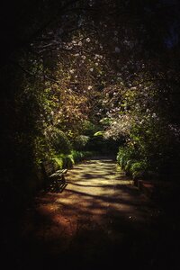 Free stock photo from Snapwire