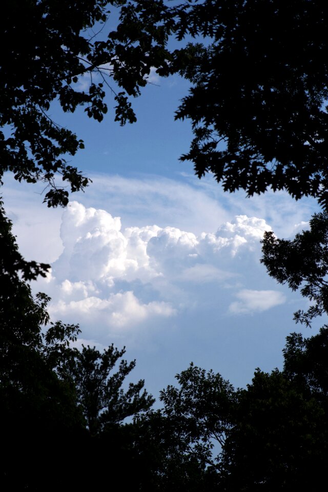 Free stock photo of clouds, nature, sky