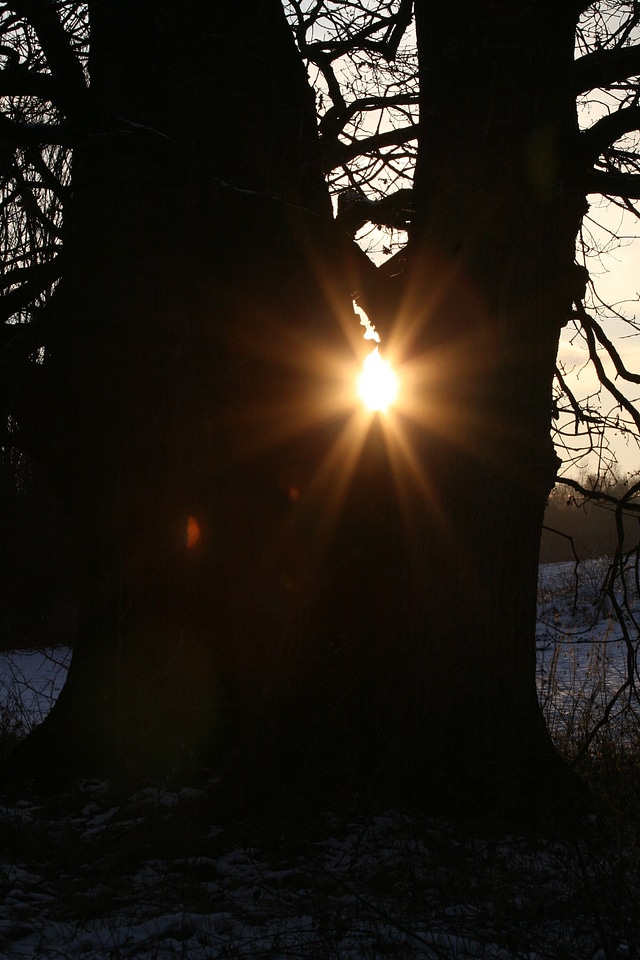 Rays sunbeam light effect