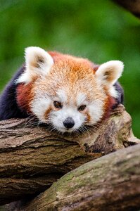 Free stock photo from Flickr