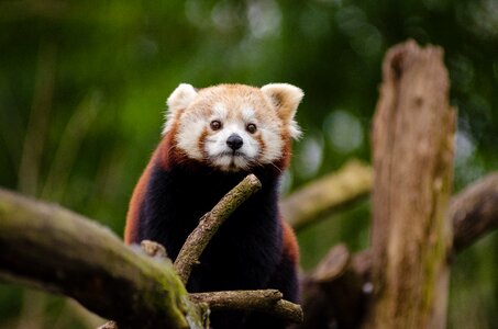Free stock photo from Flickr