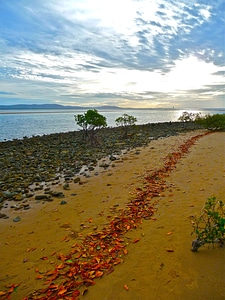 Coast shore beach