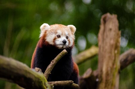 Free stock photo from Flickr