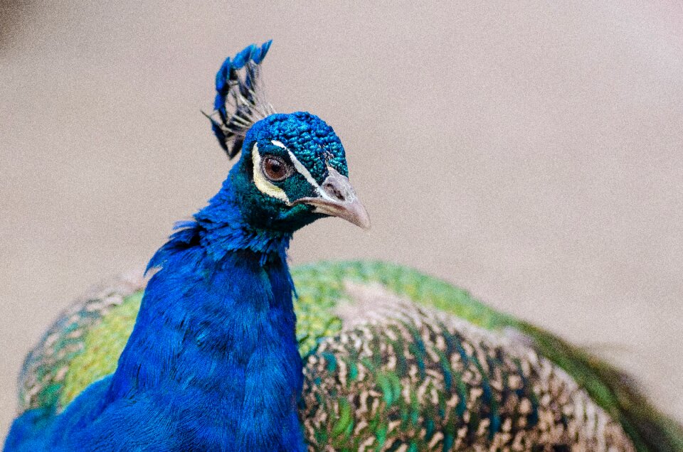 Free stock photo from Flickr