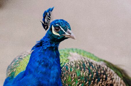 Free stock photo from Flickr