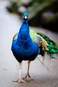 Free stock photo from Flickr