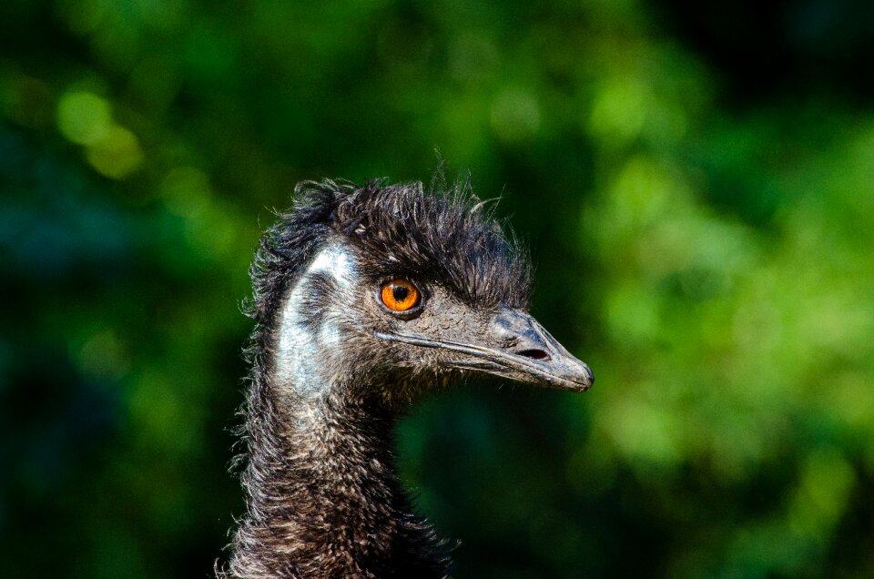 Free stock photo from Flickr