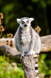 Free stock photo from Flickr