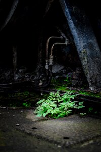 Free stock photo from Flickr