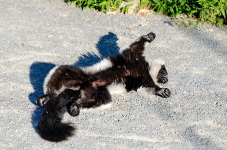 Free stock photo from Flickr