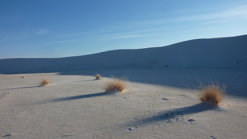 Dune dry hot photo