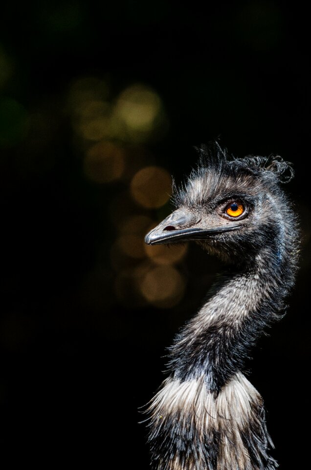 Free stock photo from Flickr