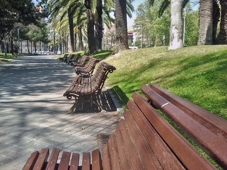 Seat grass outdoor photo