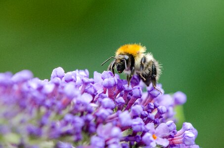 Free stock photo from Flickr