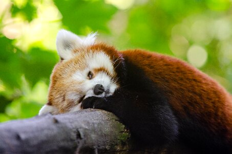 Free stock photo from Flickr