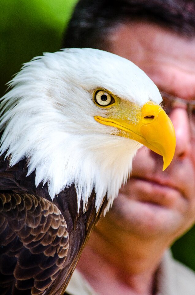Free stock photo from Flickr