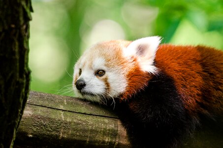 Free stock photo from Flickr