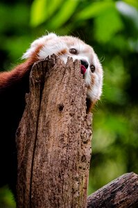 Free stock photo from Flickr