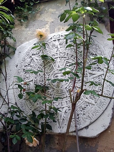 Symbols aztecs sun