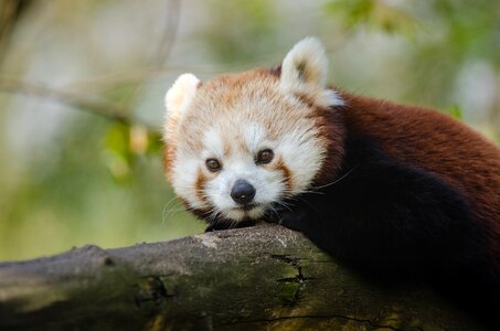 Free stock photo from Flickr
