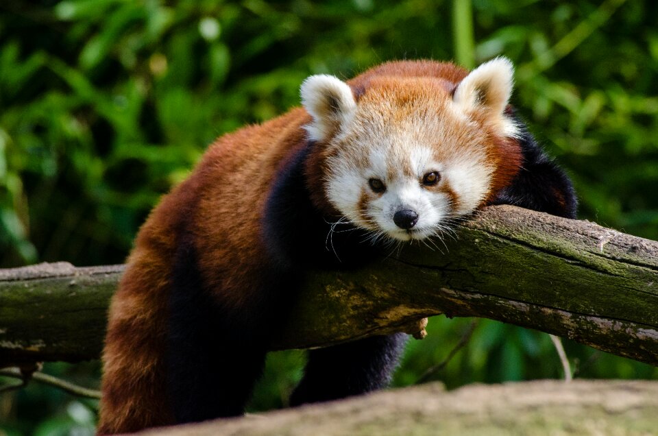 Free stock photo from Flickr