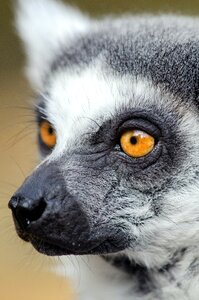Free stock photo from Flickr
