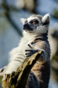 Free stock photo from Flickr