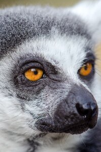 Free stock photo from Flickr