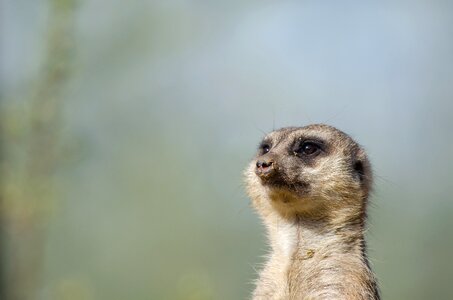 Free stock photo from Flickr