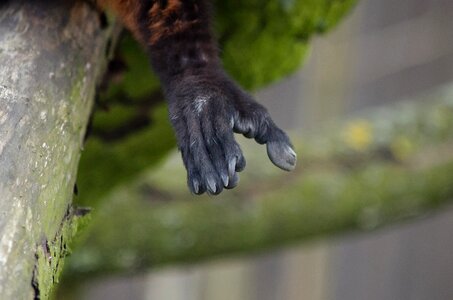Free stock photo from Flickr