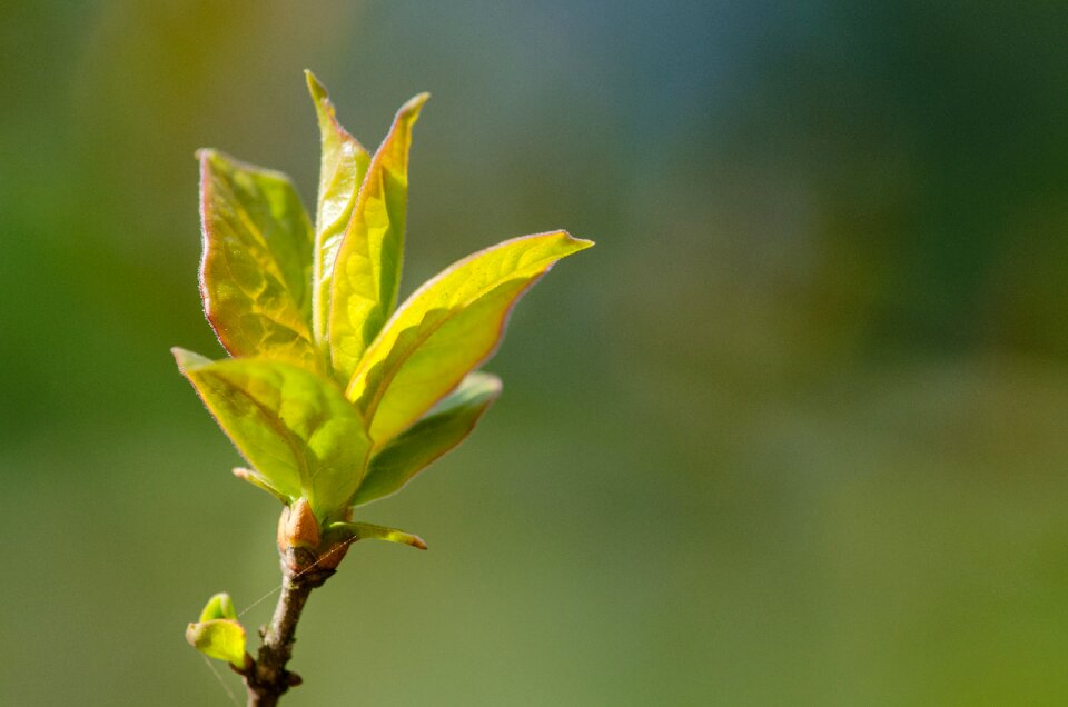 Free stock photo from Flickr