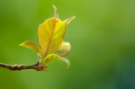 Free stock photo from Flickr