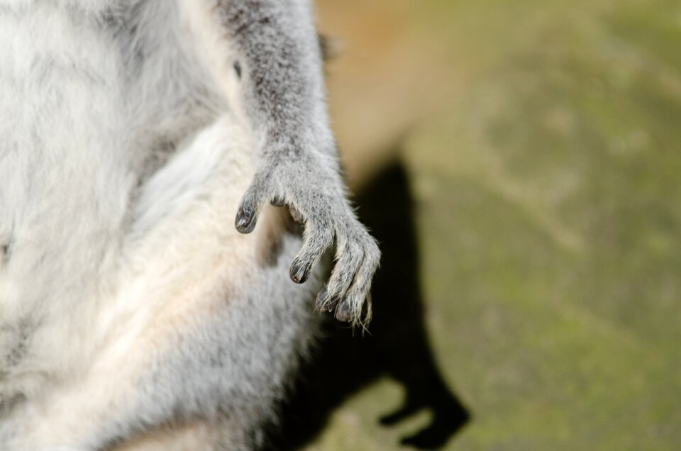 Free stock photo from Flickr