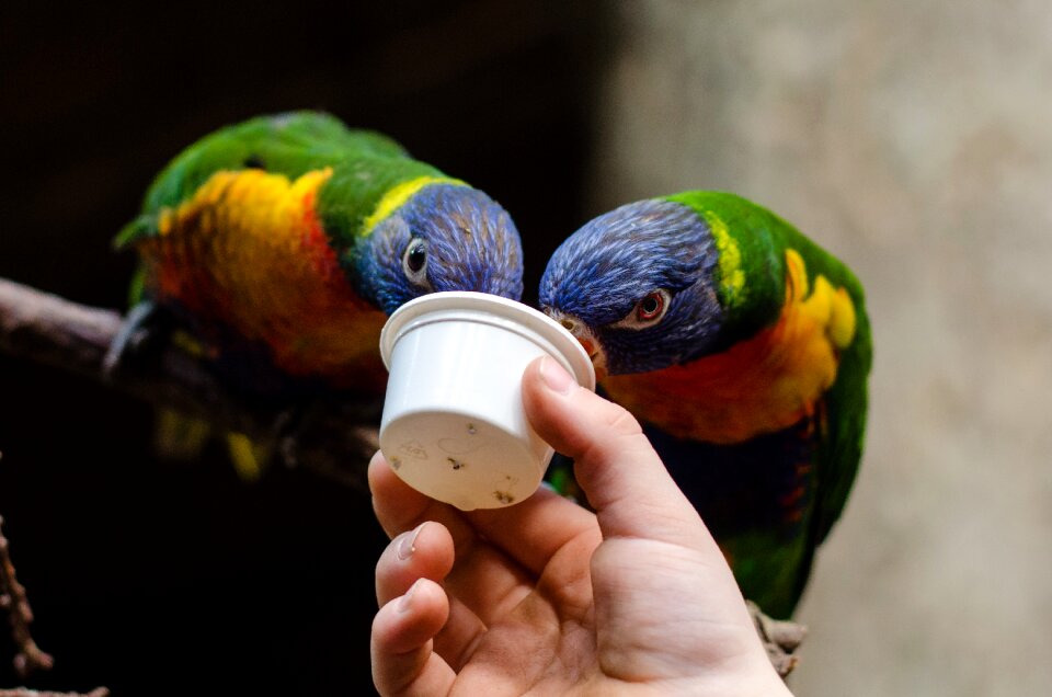 Free stock photo from Flickr