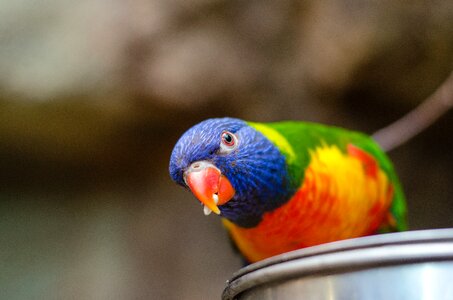 Free stock photo from Flickr