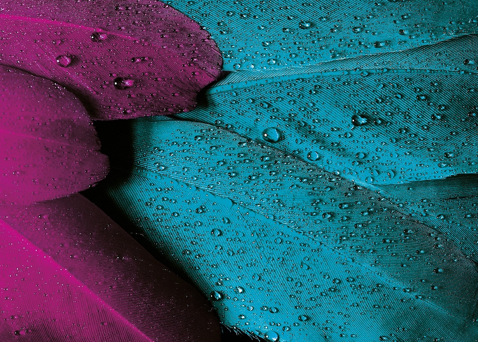 Pink violet turquoise