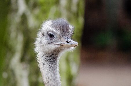 Free stock photo from Flickr
