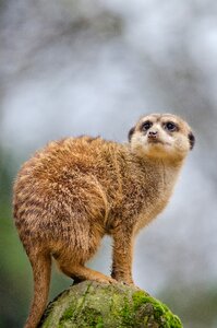 Free stock photo from Flickr