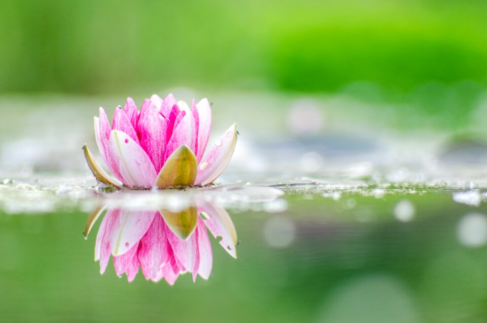 Free stock photo from Flickr
