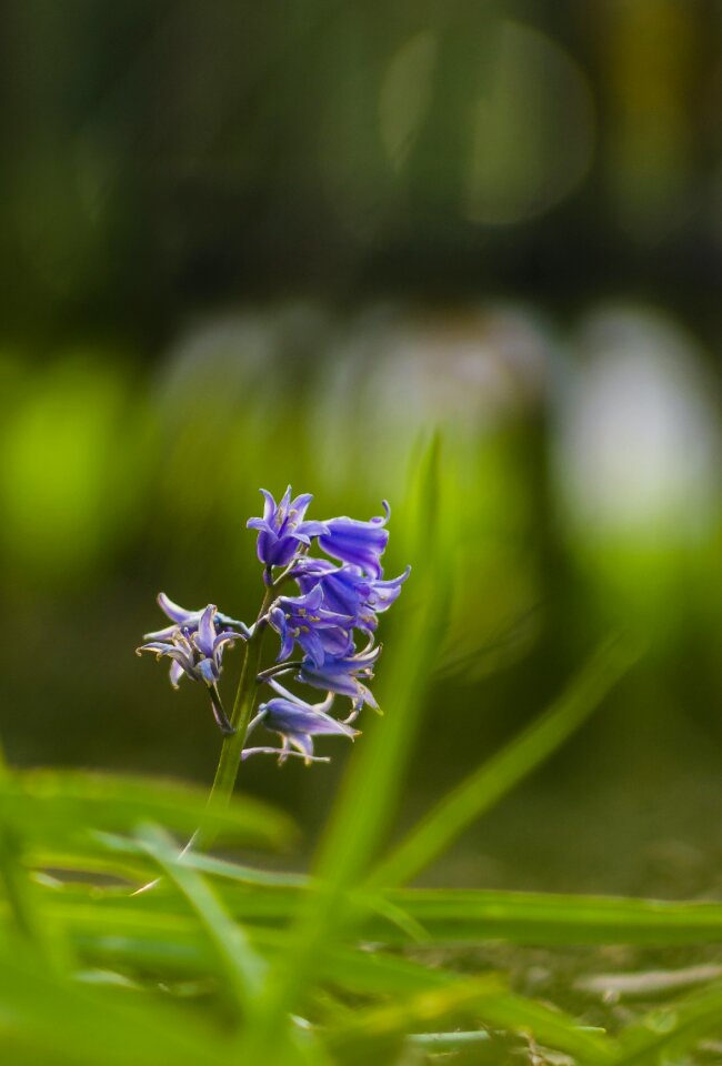 Free stock photo from Flickr