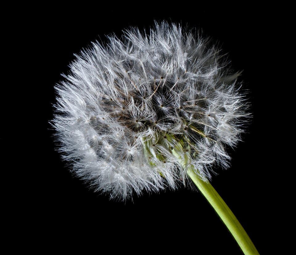 Free stock photo from Flickr