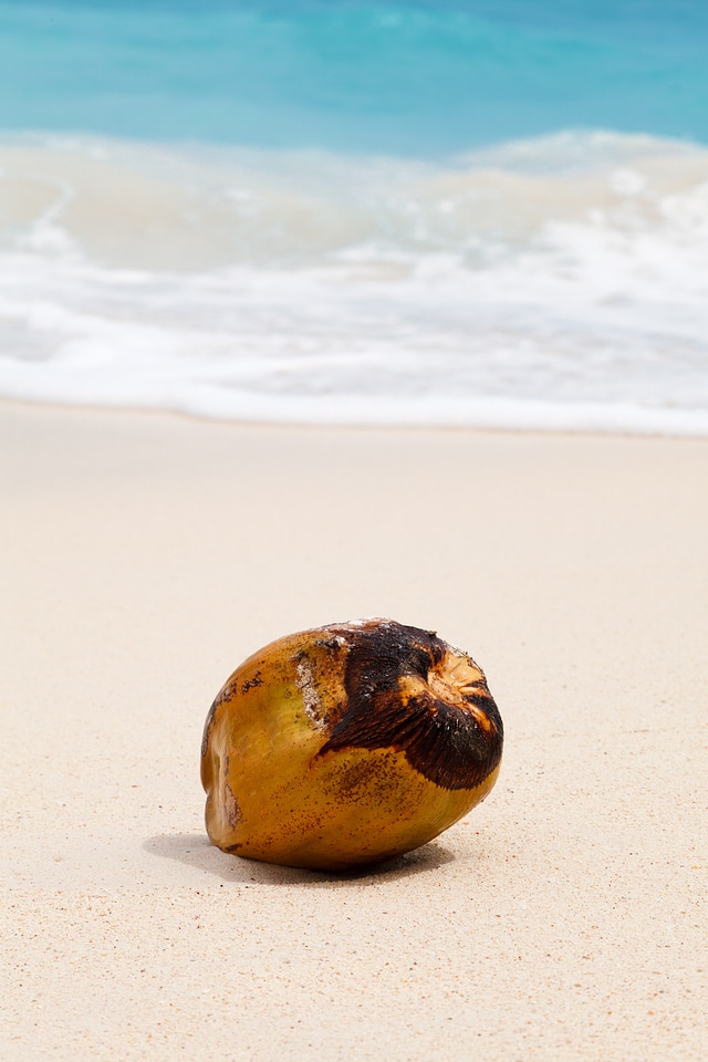 Sand sea beach