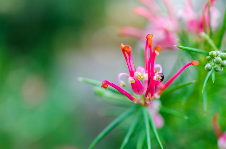 Free stock photo from Flickr