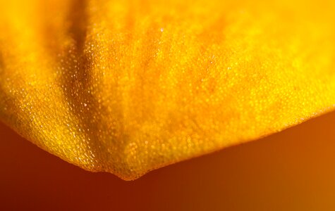 Free stock photo from Flickr