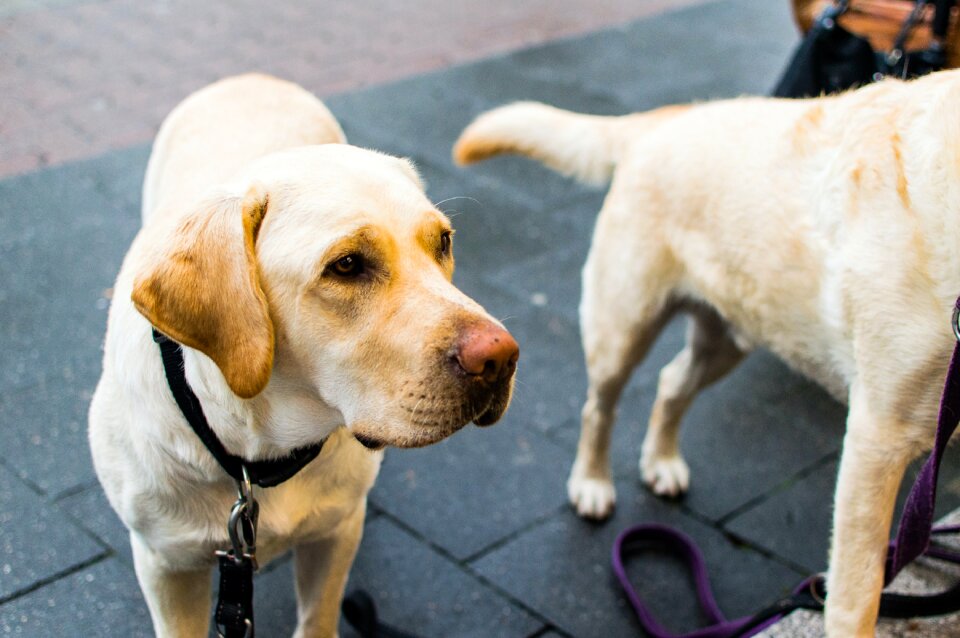 Free stock photo from Flickr