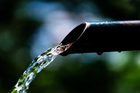 Free stock photo from Flickr