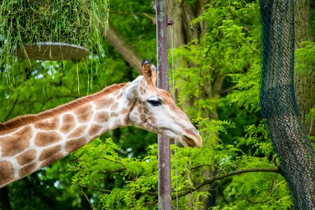 Free stock photo from Flickr
