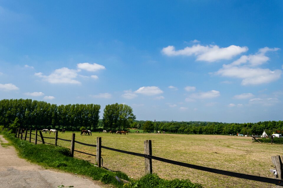 Free stock photo from Flickr