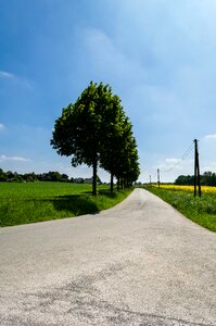 Free stock photo from Flickr