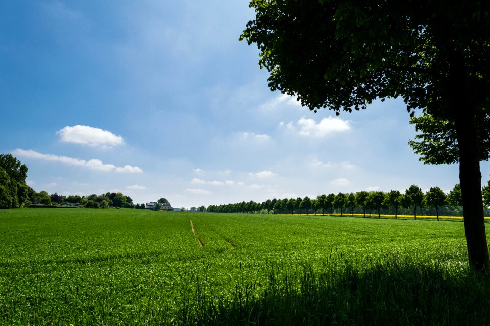 Free stock photo from Flickr